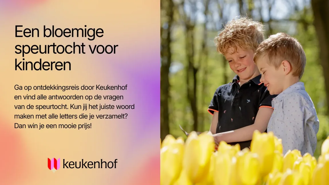 nederlands